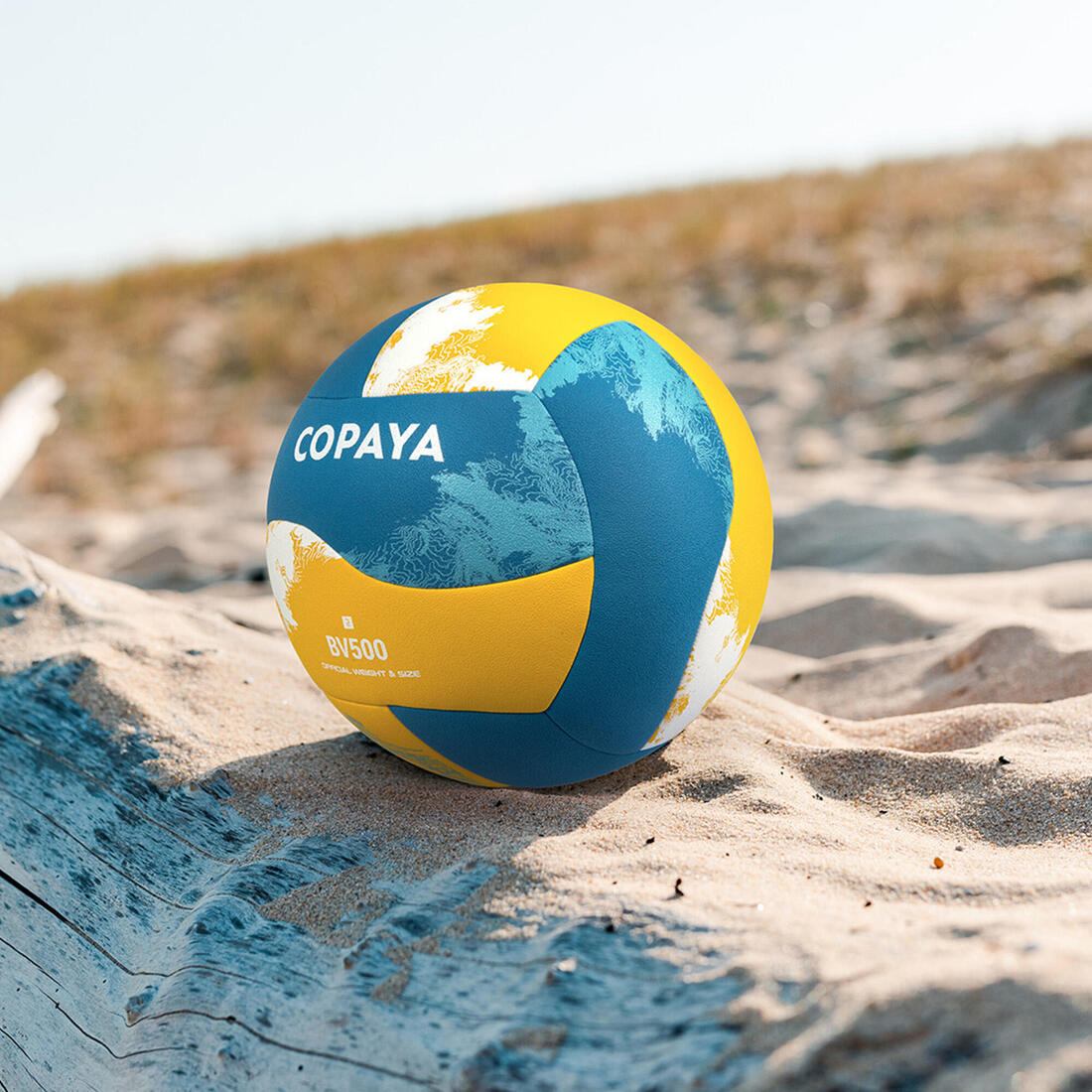 IMG_8649591_4