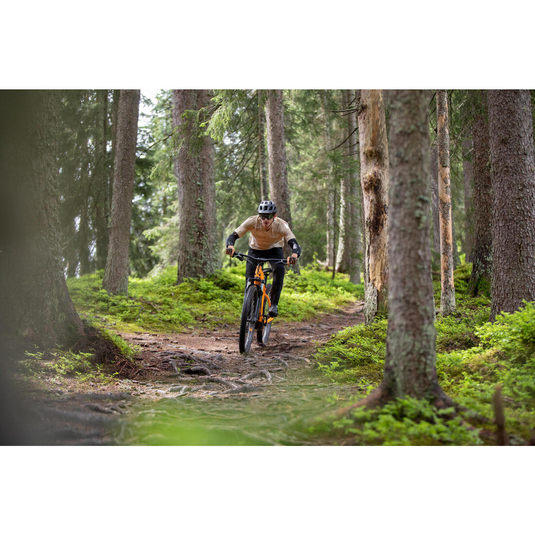 IMG_8529388_9