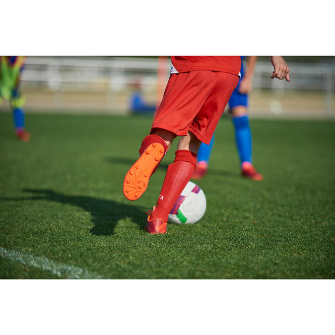 Image, photo 18 of 19