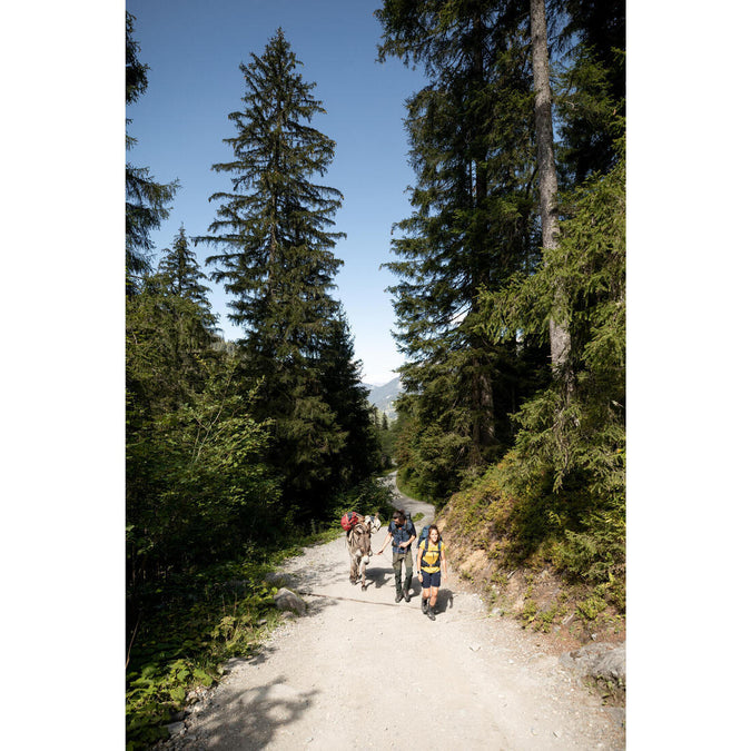 Image, photo 19 of 20