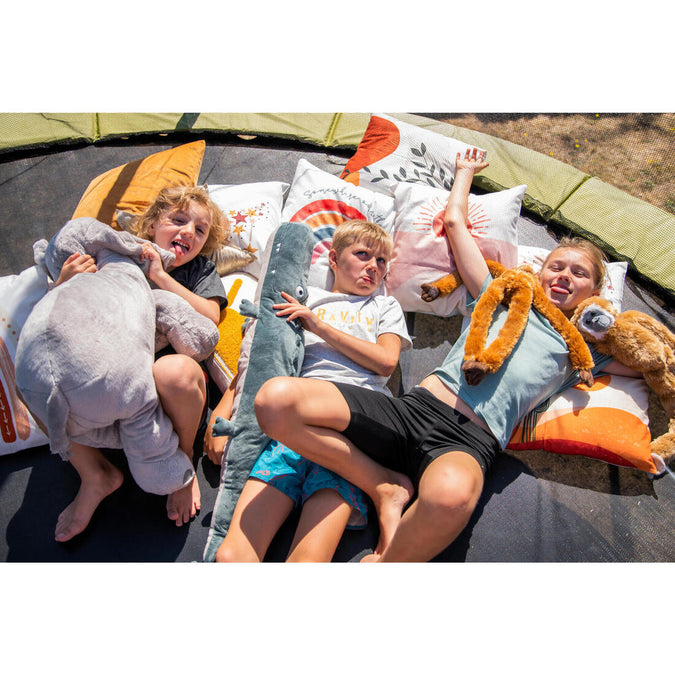 Image, photo 12 of 17