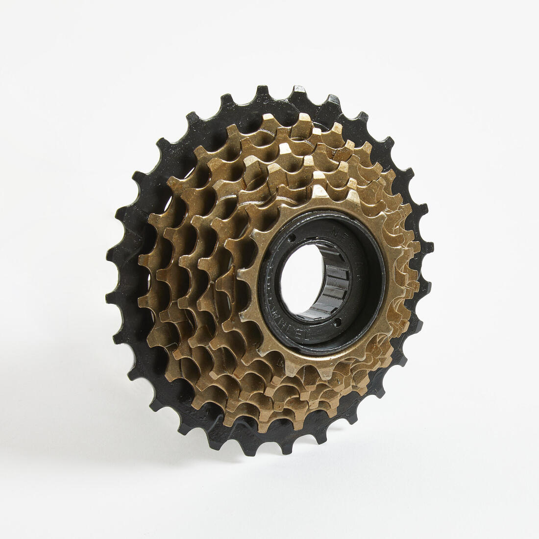 IMG_8203902_2