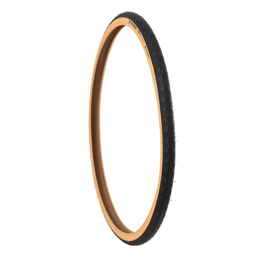 IMG_8487118_2