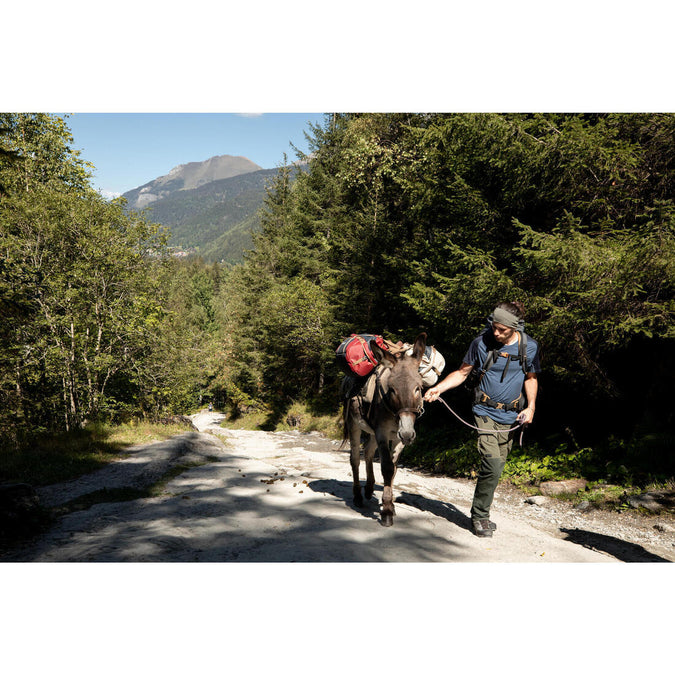 Image, photo 17 of 20