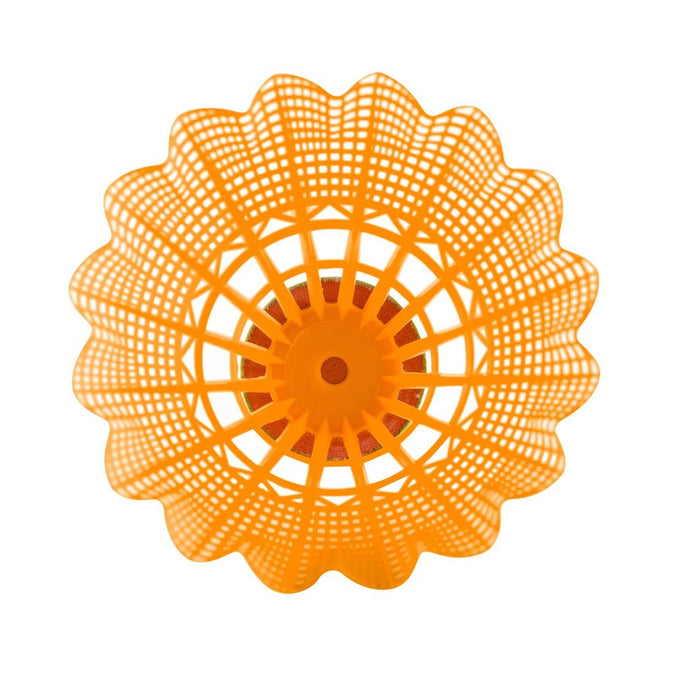 Image, photo 12 of 30