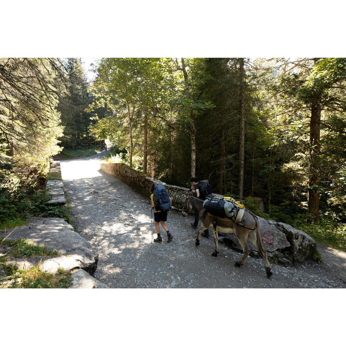 Image, photo 12 of 12