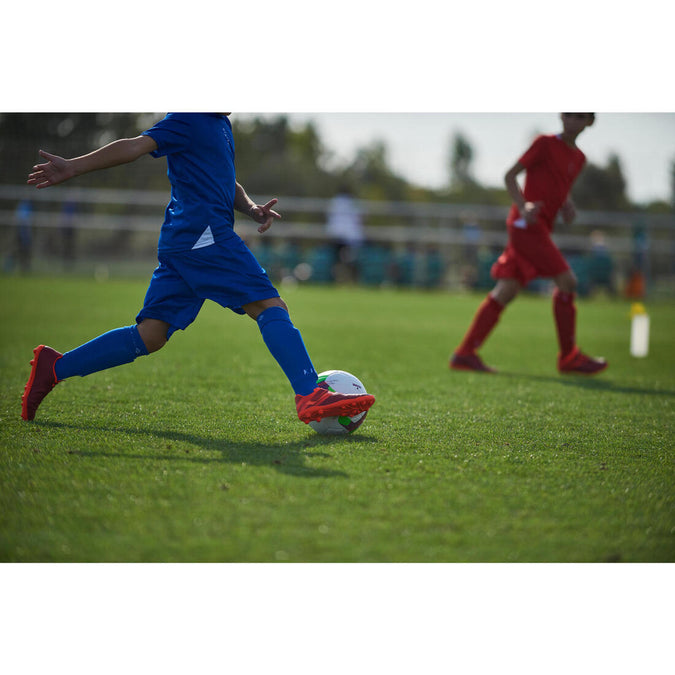 Image, photo 16 of 19