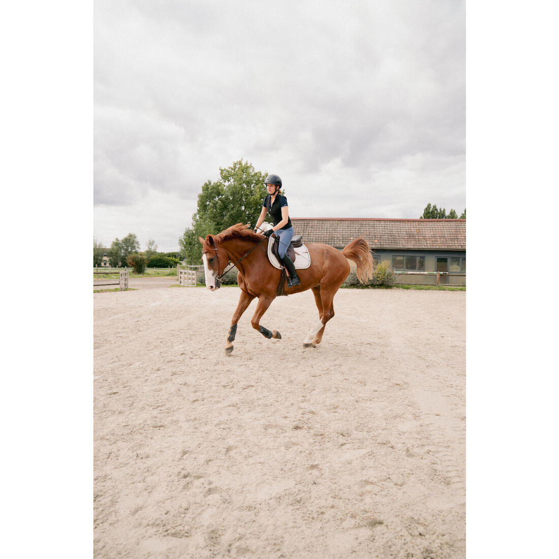 IMG_8644626_10