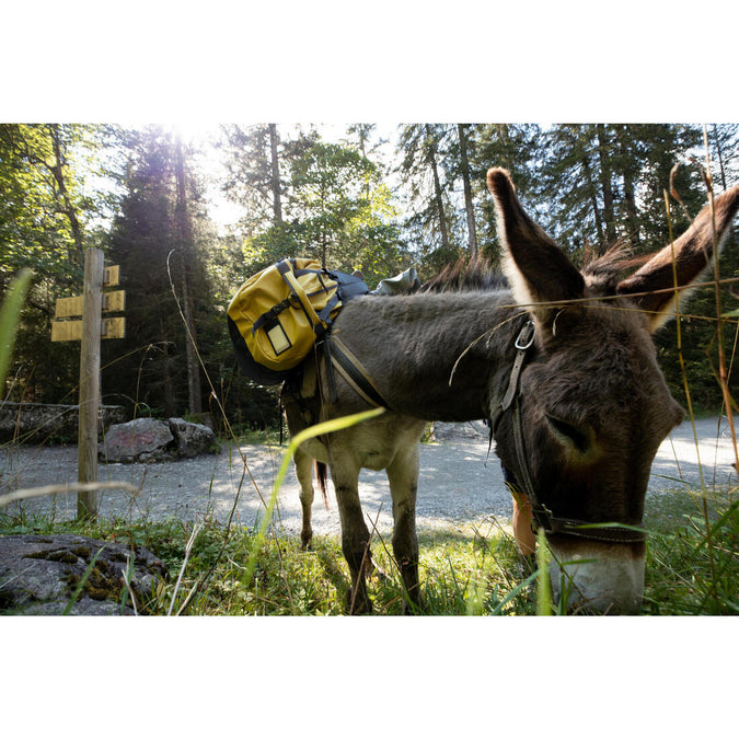 Image, photo 11 of 12