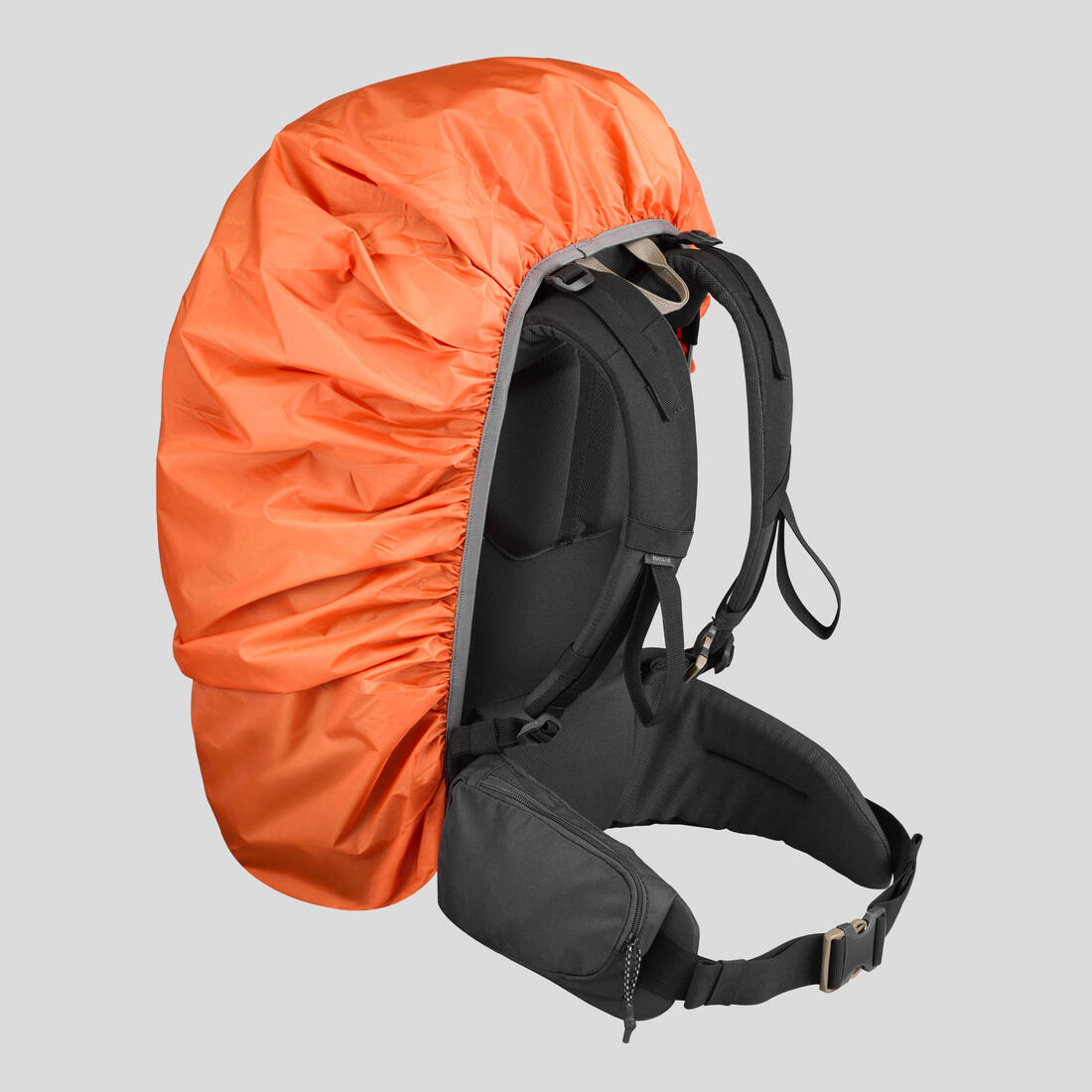 IMG_8559822_2