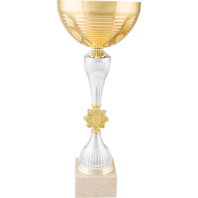 





C900 Trophy 40cm - Gold/Silver, photo 1 of 2