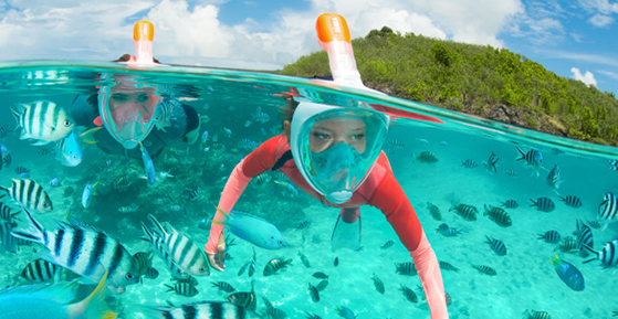 SNORKELING & SCUBADIVING