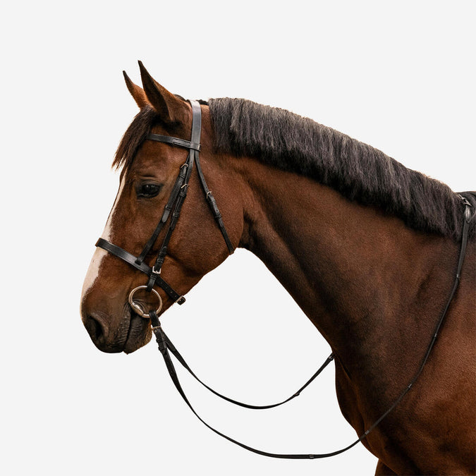 





Horse Riding Leather Bridle With French Noseband & Reins for Horse & Pony 100, photo 1 of 21