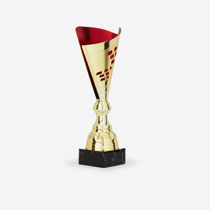 





Trophy T537 35 cm - Gold/Red, photo 1 of 5