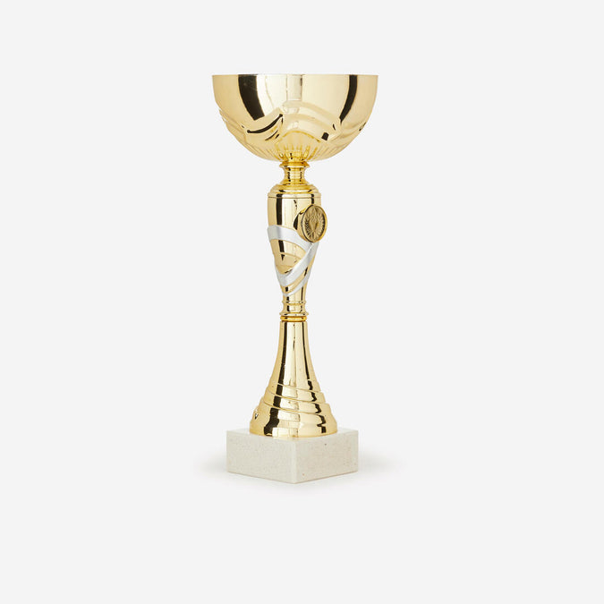 





Cup C519 29 cm - Gold, photo 1 of 5