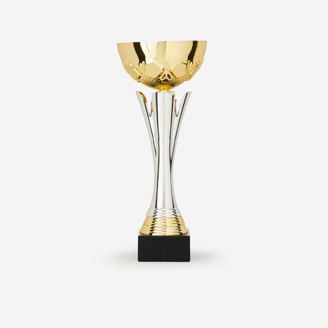 





Cup c535 32 cm - Gold/Silver