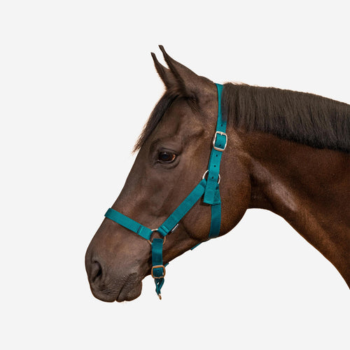 





Horse Riding Halter for Horse and Pony Schooling