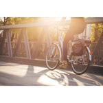 Product thumbnail 12 of 13