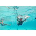 IMG_8902438_8