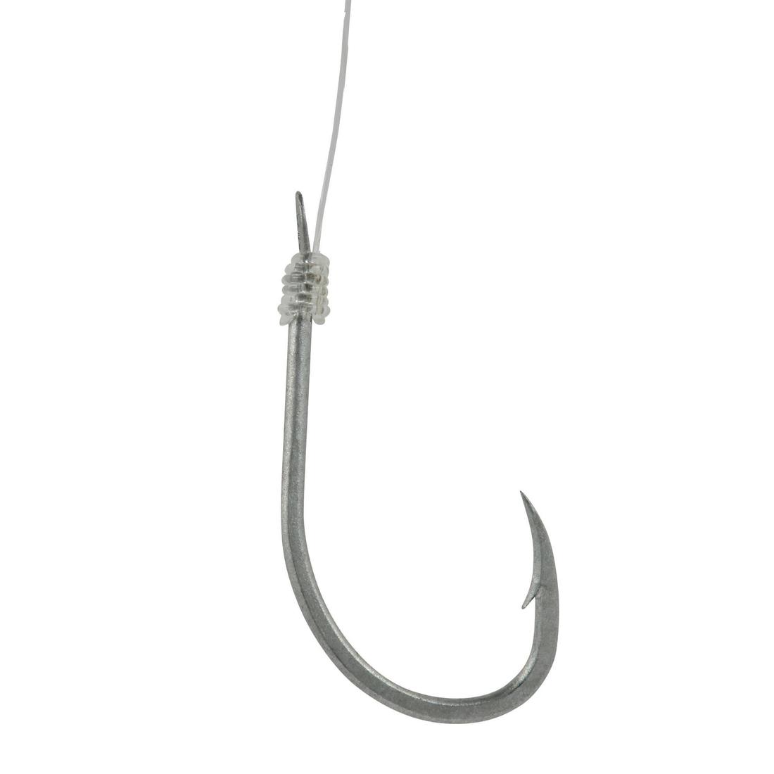 IMG_8349284_7