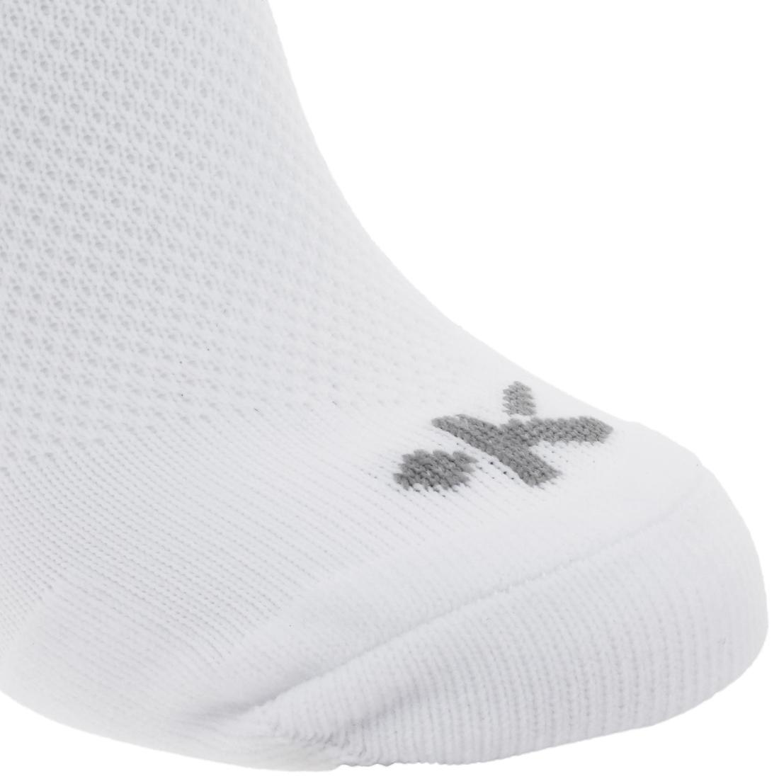 IMG_8350125_12