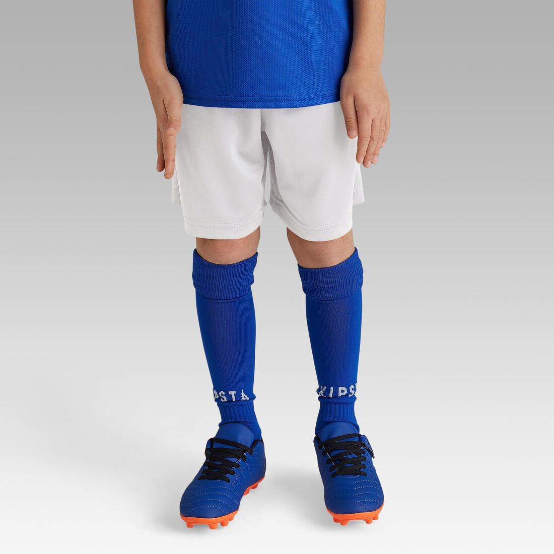 IMG_8558493_1