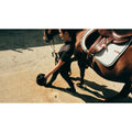 IMG_8785586_7
