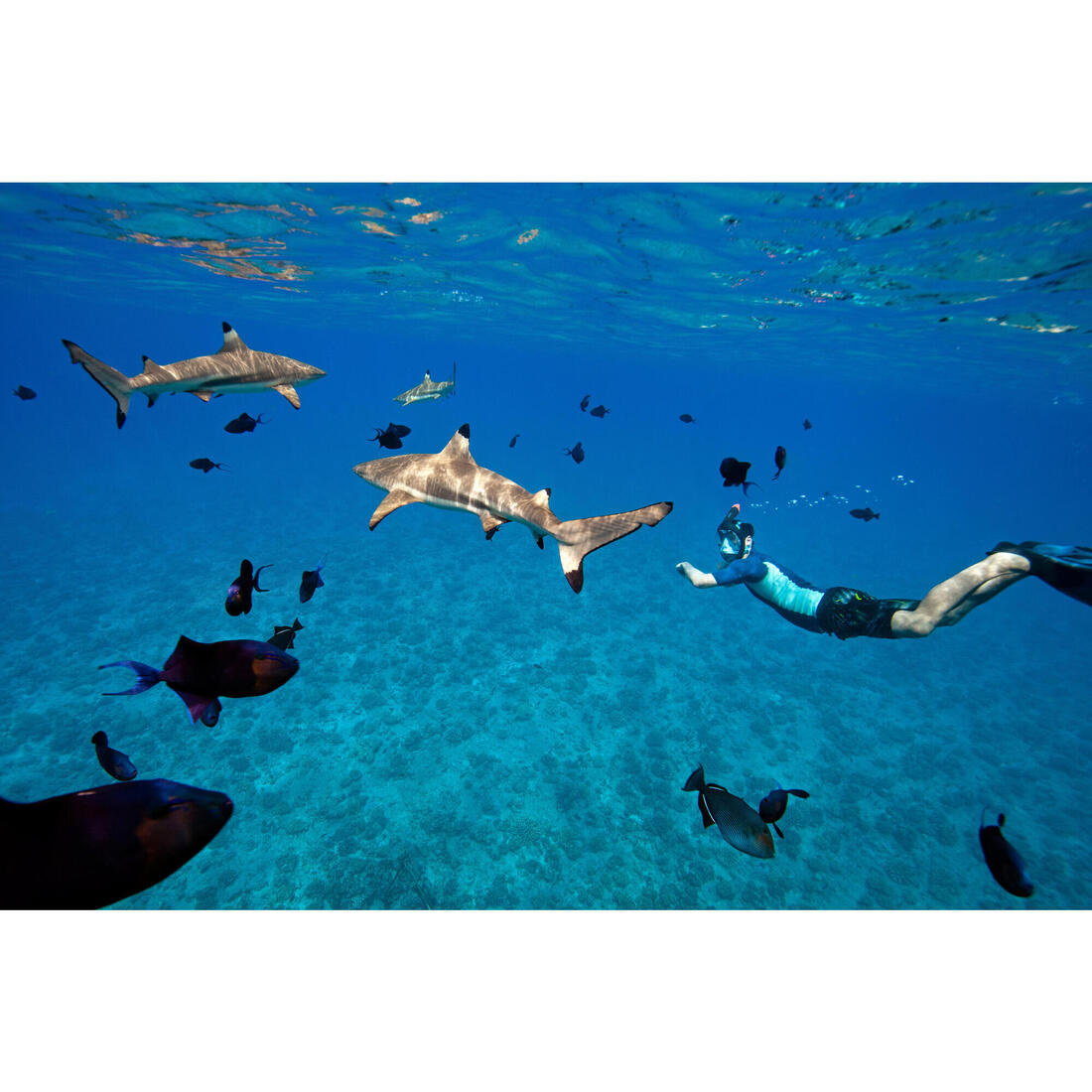 IMG_8528540_15
