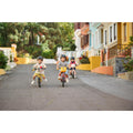 IMG_8646304_13