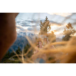 Product thumbnail 35 of 43