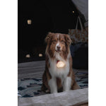 Product thumbnail 3 of 9