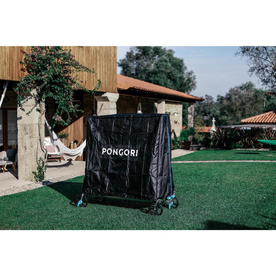 IMG_2169251