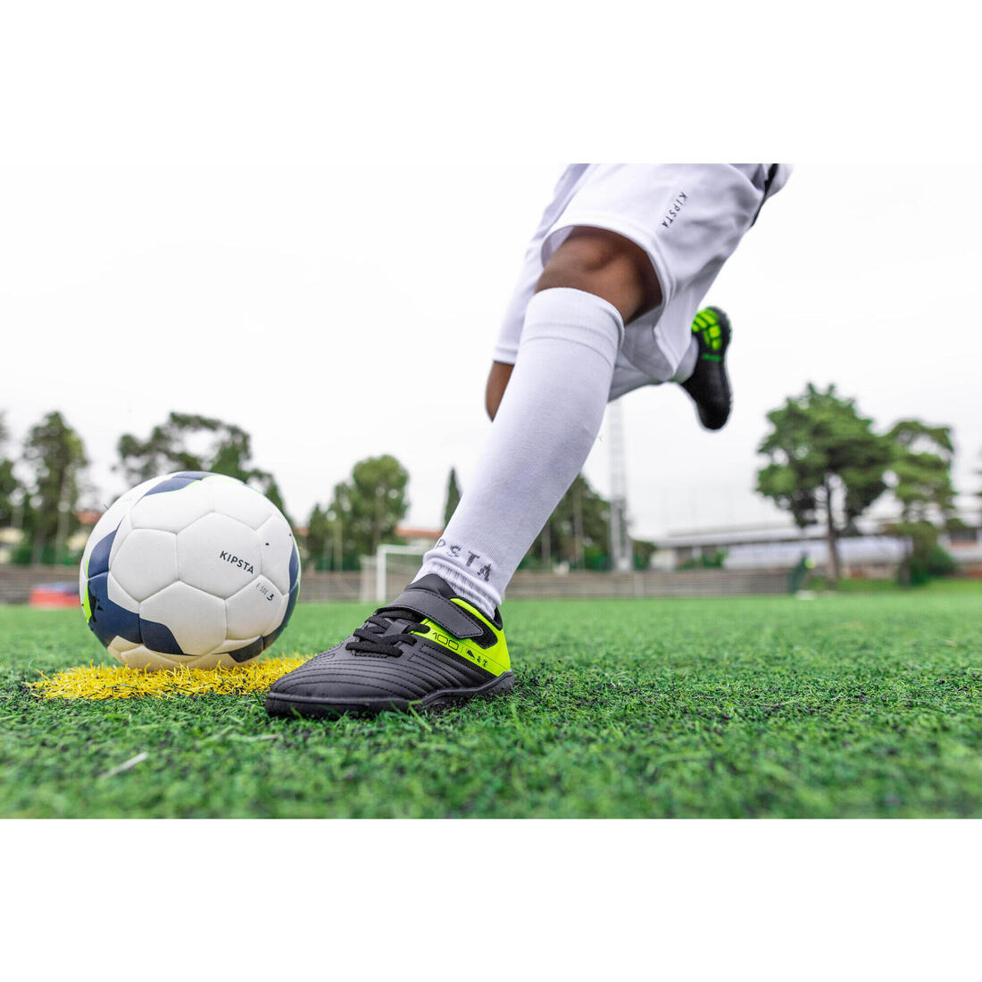 IMG_8350125_17
