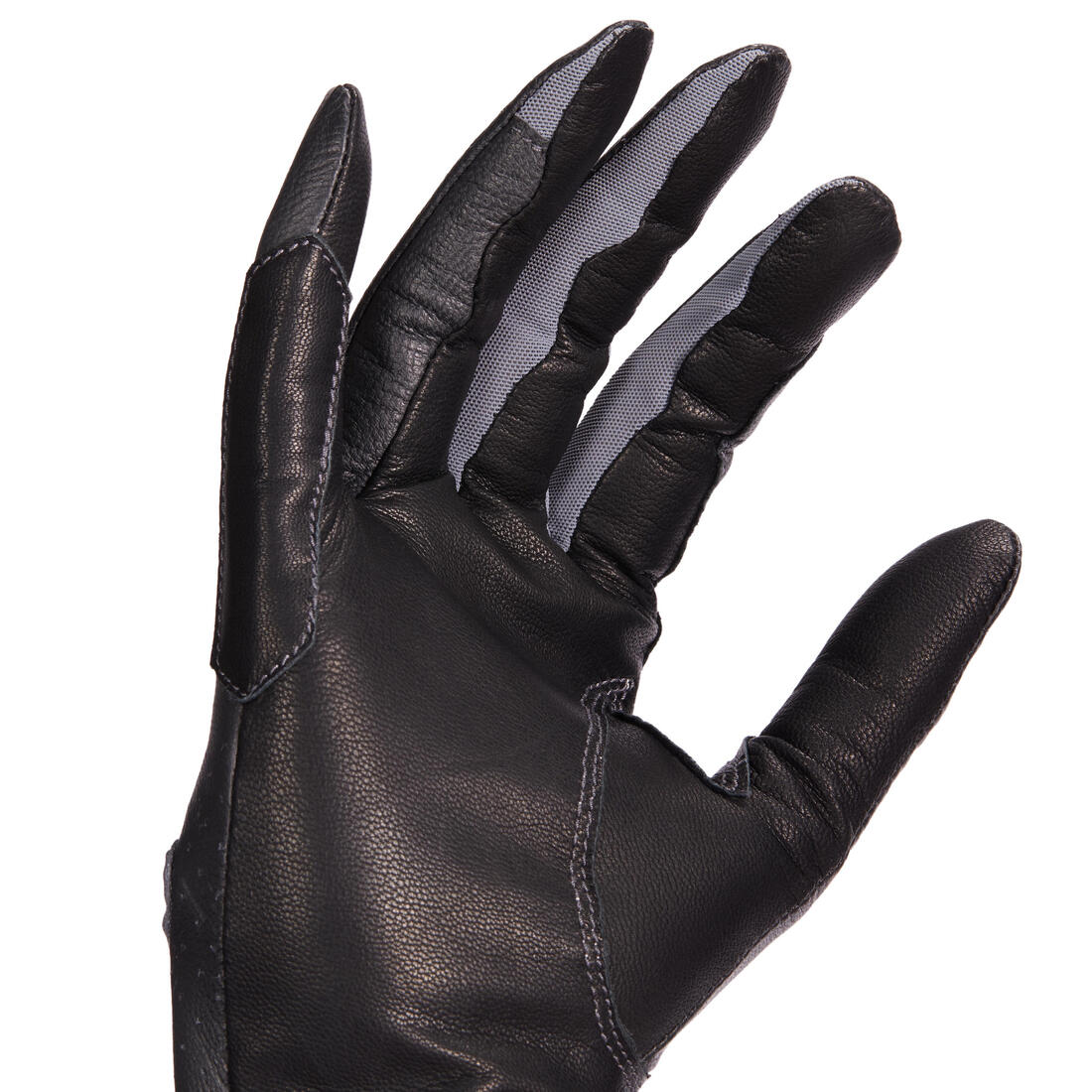 IMG_1542273