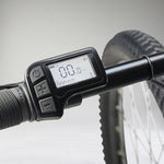 Product thumbnail 6 of 19