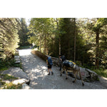 Product thumbnail 12 of 12