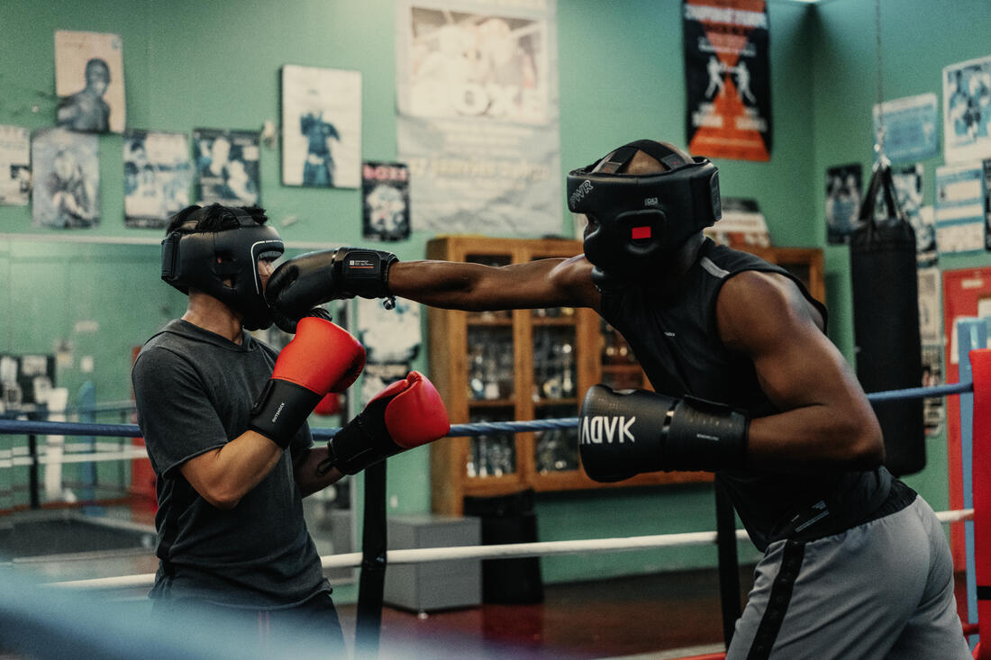 IMG_8651248_8