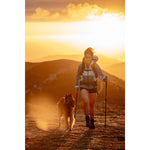 Product thumbnail 43 of 43