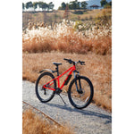 Product thumbnail 7 of 17