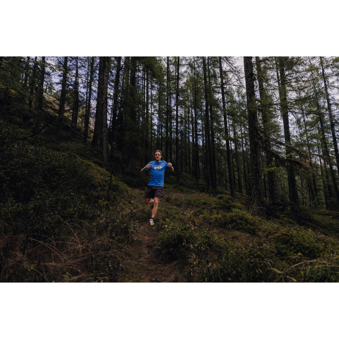 IMG_8826327_9