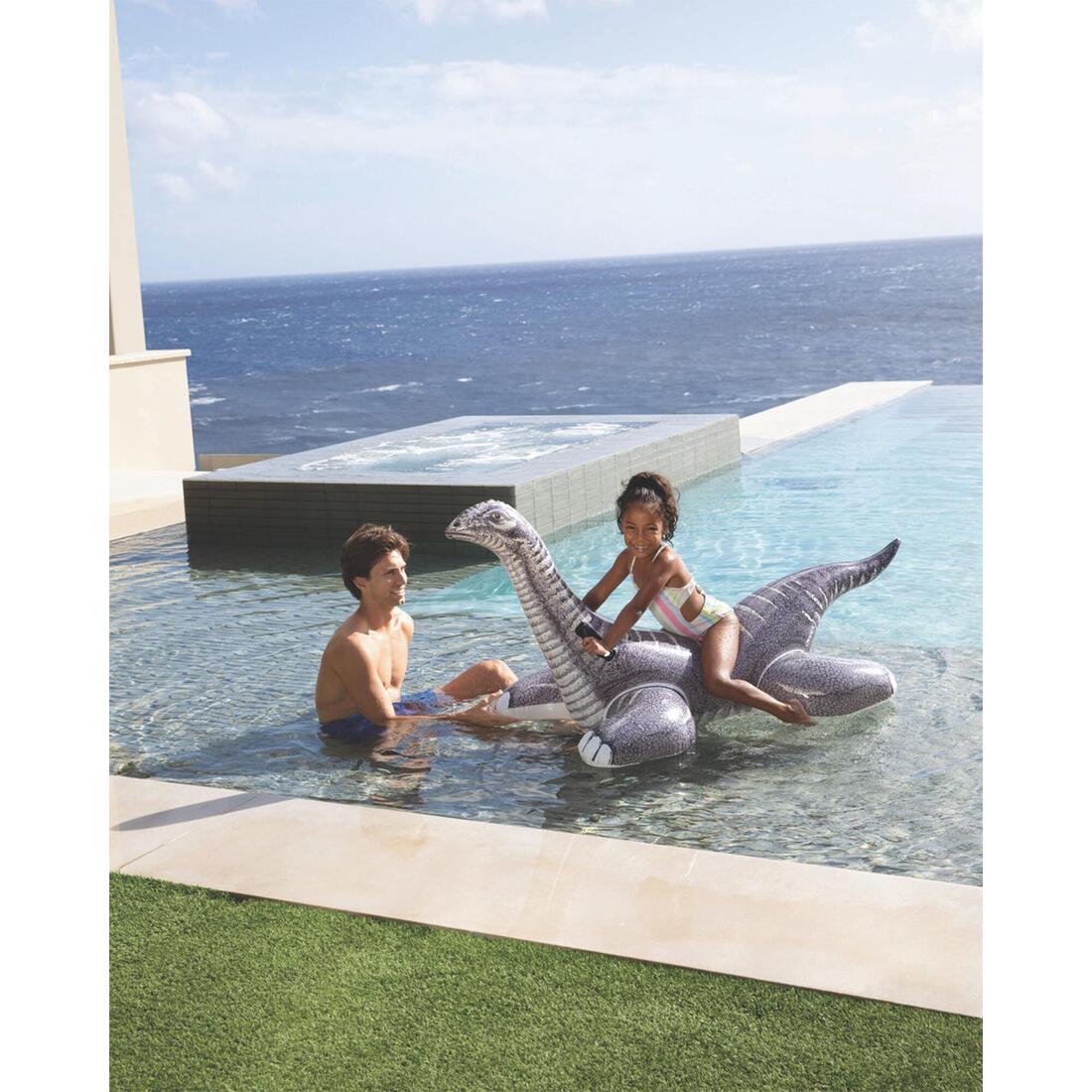 IMG_1009055113_2