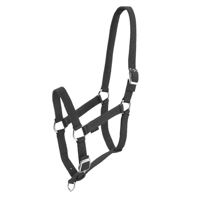 





Schooling Horse Riding Halter for Horse and Pony, photo 1 of 8